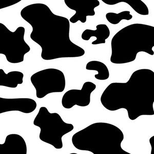 Meet your Posher, Ivorie